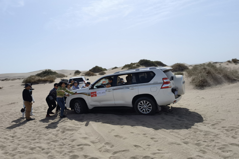 Bodog·(中国区)官方网站