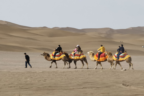 Bodog·(中国区)官方网站