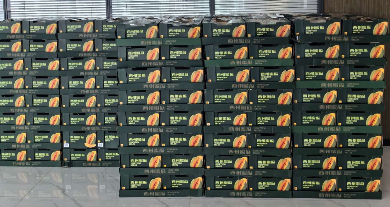 Bodog·(中国区)官方网站